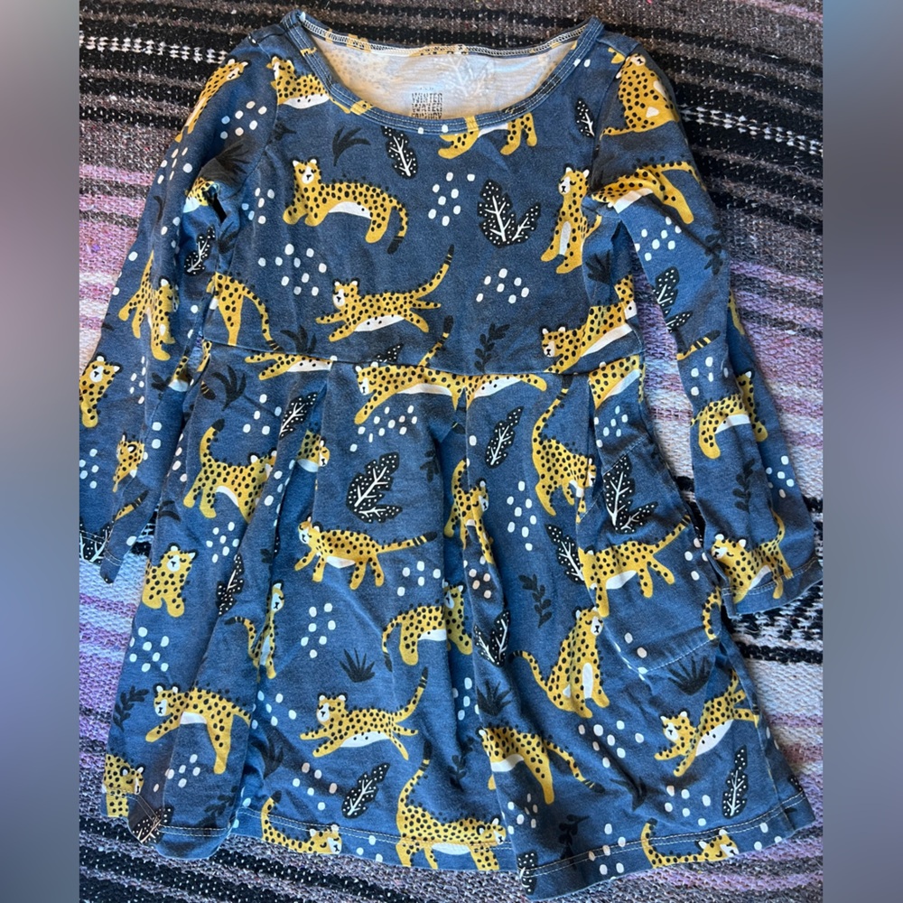 Winter Water Factory Madison Dress Wildcat 3T